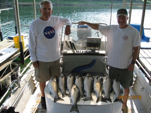 Nice Striped Bass